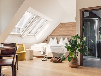Panorama Apartment 1